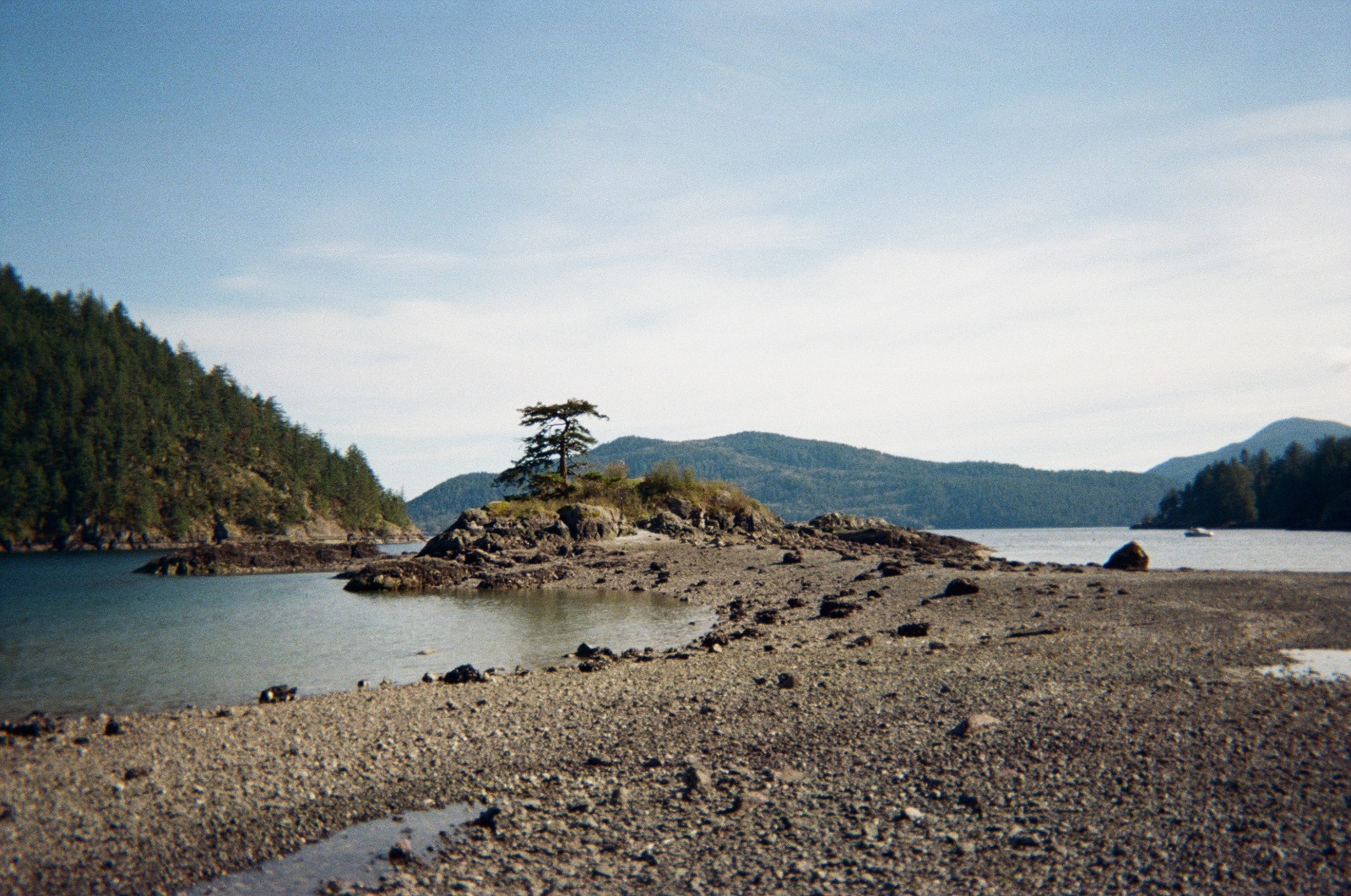 Film photograph 1