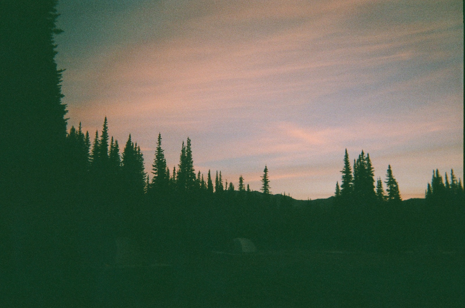 Film photograph 8
